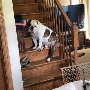 Meet your Posher, Salli